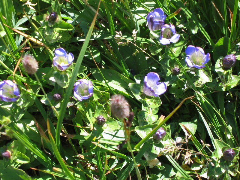 Image027