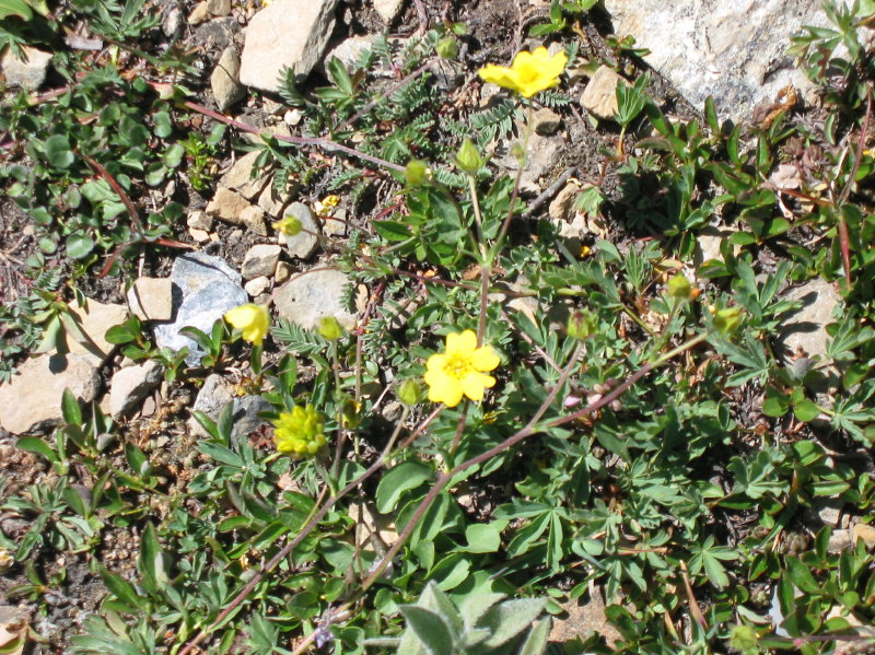 Image045