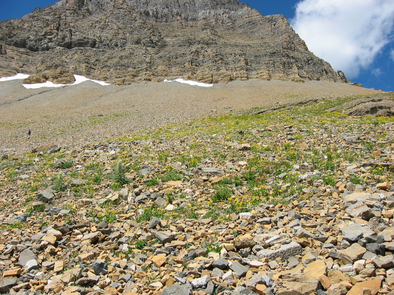 Image053
