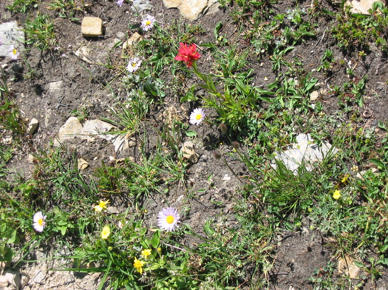 Image058