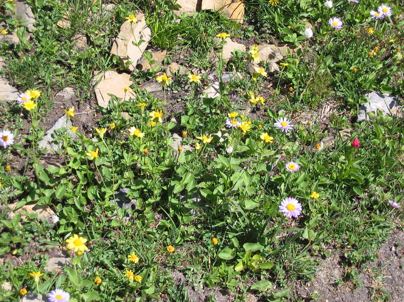 Image059