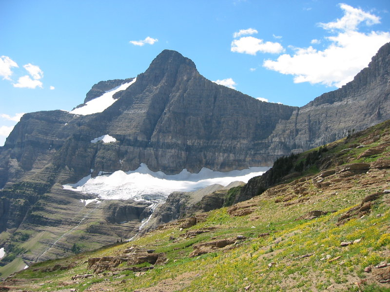 Image061