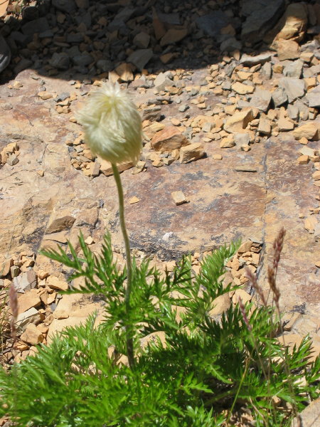 Image062
