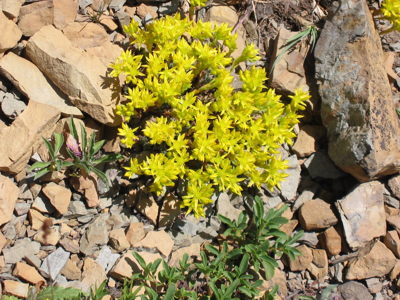 Image064
