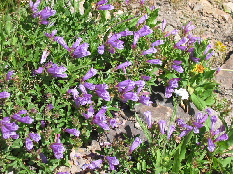 Image066