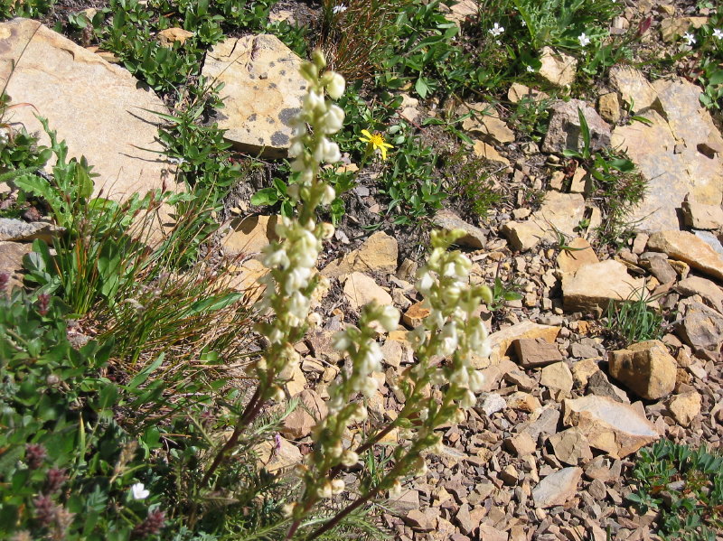 Image068