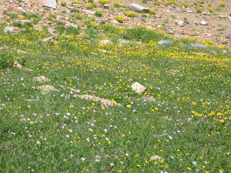 Image070