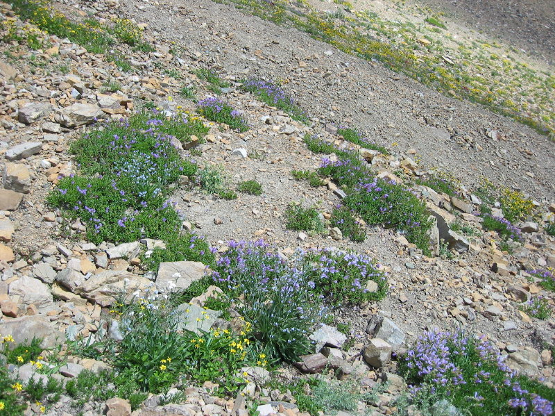 Image081