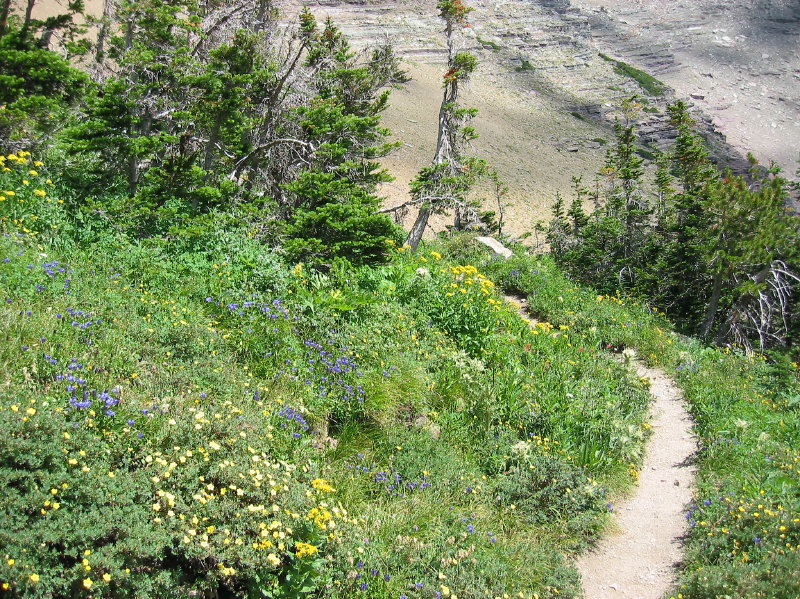 Image083