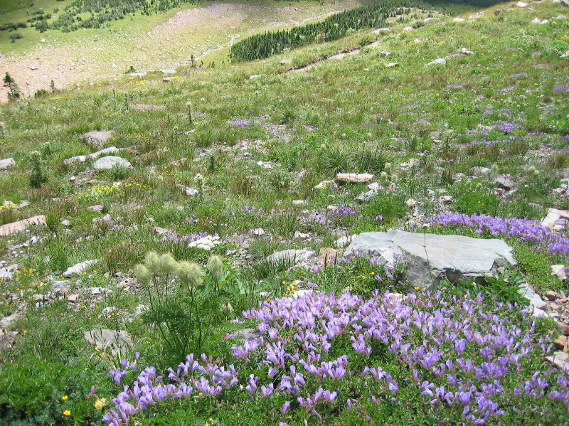 Image087