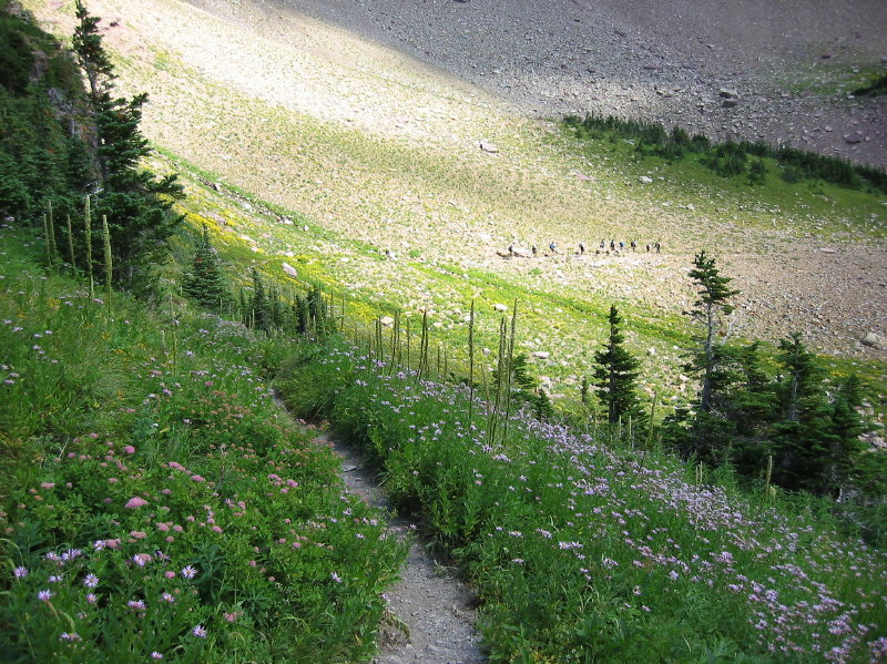 Image096