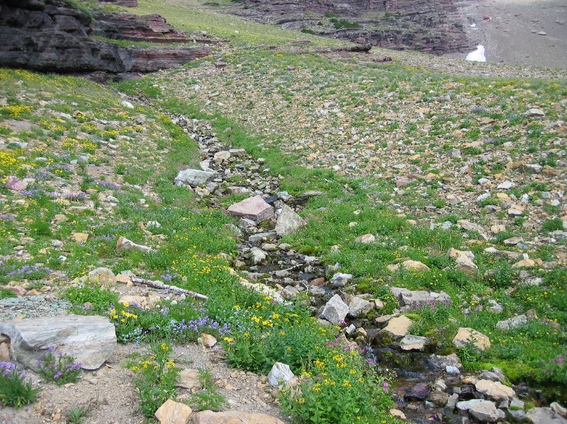 Image099