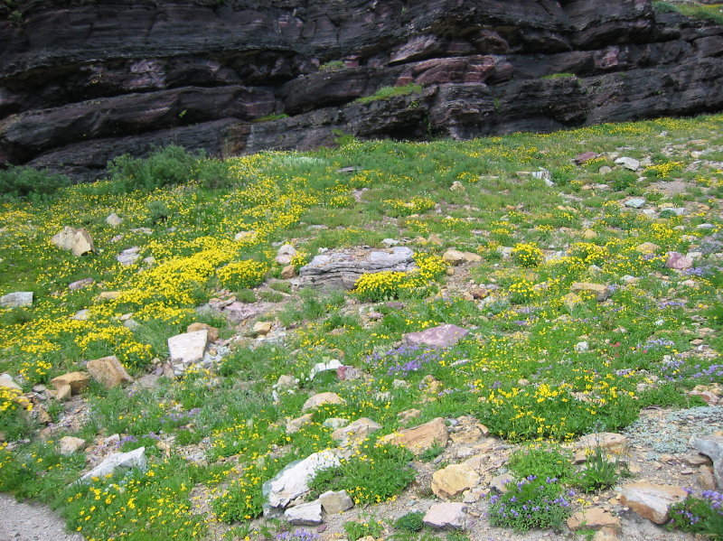 Image100
