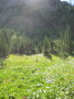 Image004