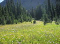 Image009