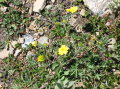 Image045