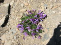 Image048
