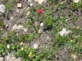 Image058