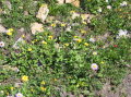 Image059