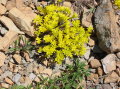 Image064