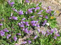 Image066