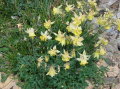 Image072