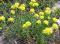 Image078