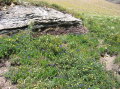 Image082