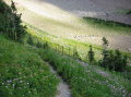Image096