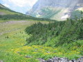 Image097